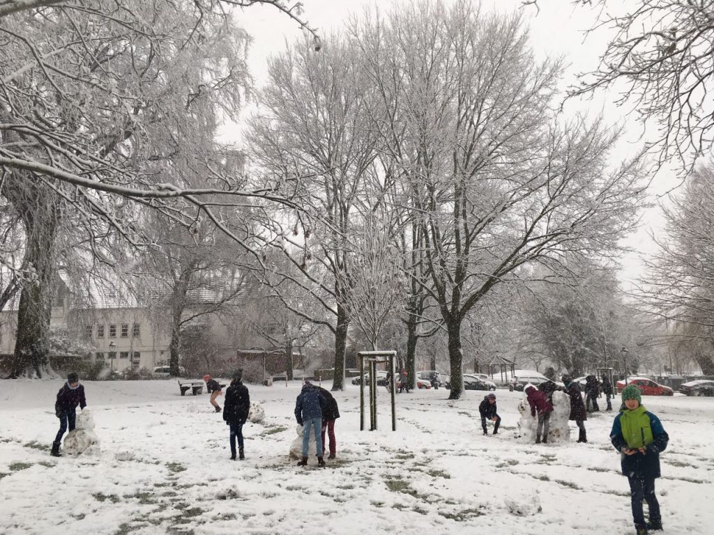 35458d57-b325-4503-a148-12868f3d5503